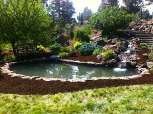 Pond Waterfall Water Feature Central Oregon